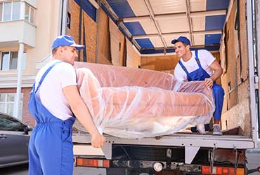 Packing & Shifting Services